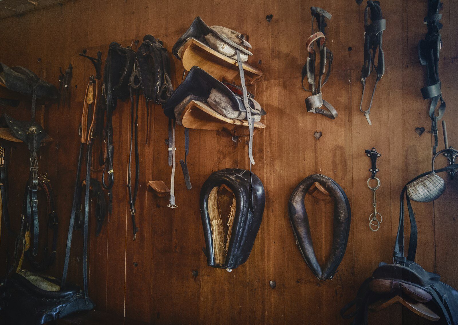 Wall of hanging saddles and tack in a tack room