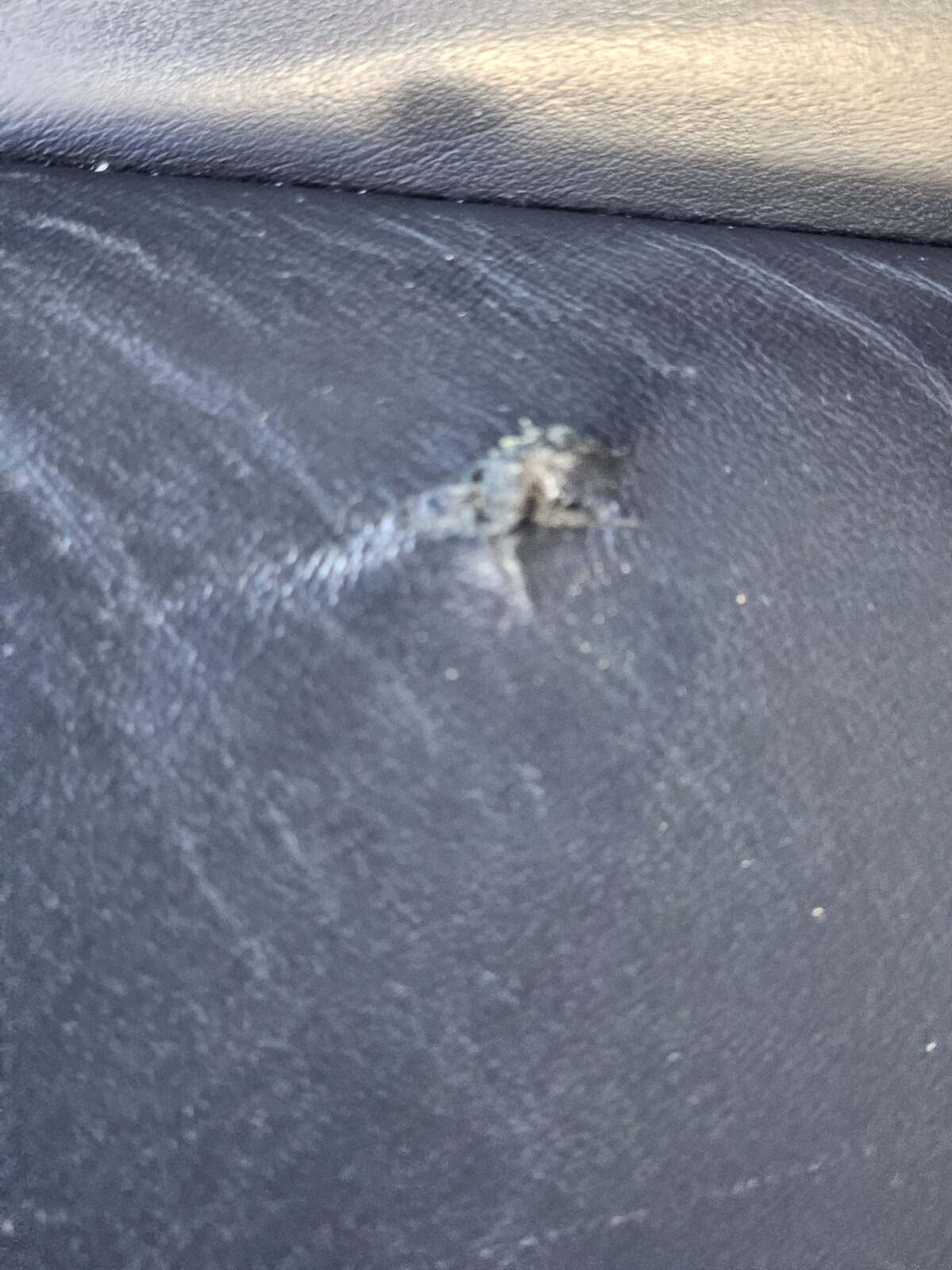 Close-up of leather scuff damage before repair